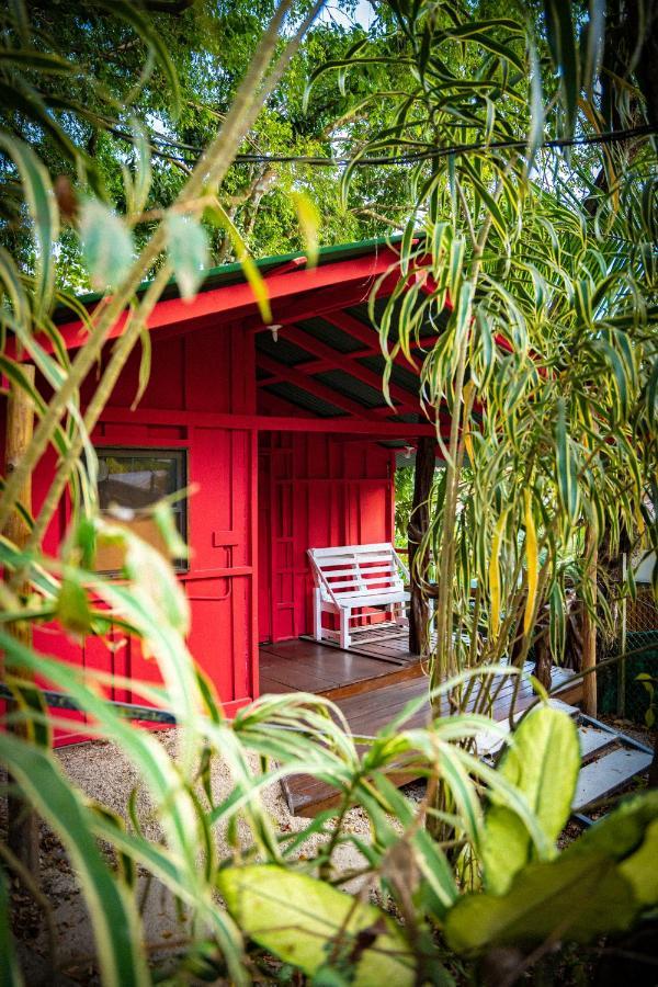 Pura Vida Mini Hostel Santa Teresa Playa Santa Teresa  Zewnętrze zdjęcie