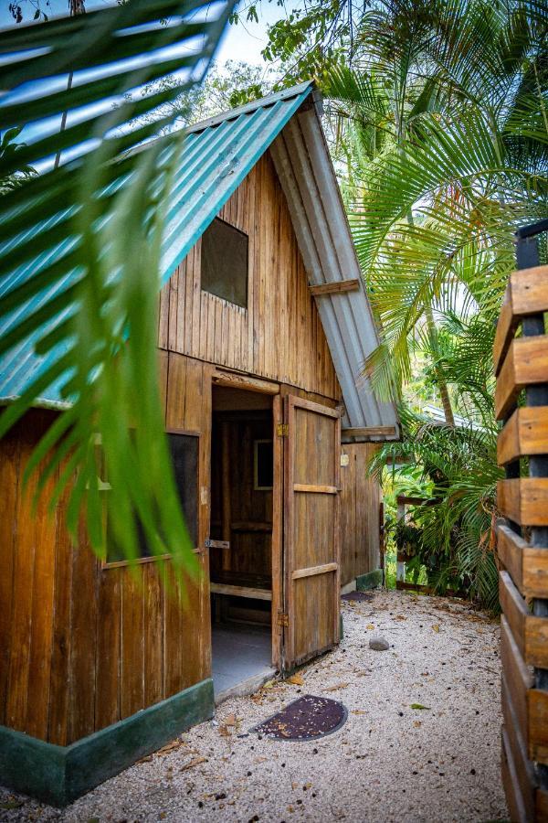 Pura Vida Mini Hostel Santa Teresa Playa Santa Teresa  Zewnętrze zdjęcie