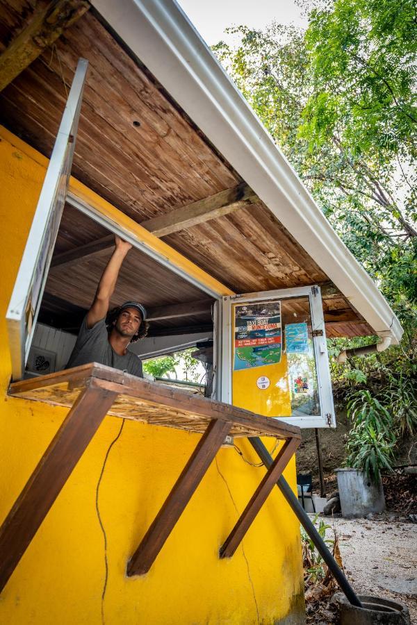 Pura Vida Mini Hostel Santa Teresa Playa Santa Teresa  Zewnętrze zdjęcie
