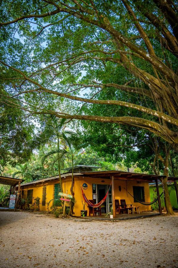 Pura Vida Mini Hostel Santa Teresa Playa Santa Teresa  Zewnętrze zdjęcie