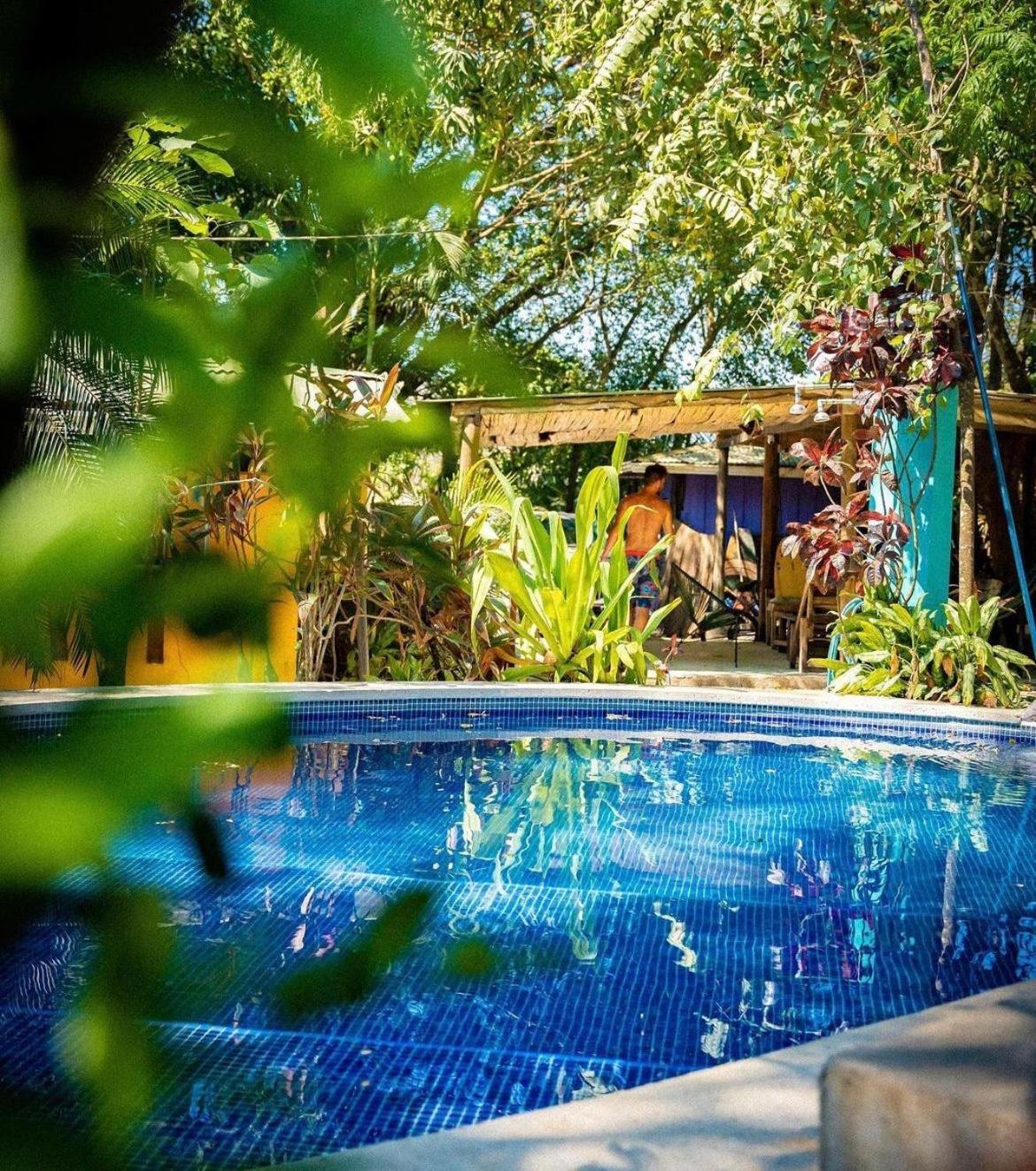 Pura Vida Mini Hostel Santa Teresa Playa Santa Teresa  Zewnętrze zdjęcie